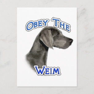 Obey the Weimaraner Postcard