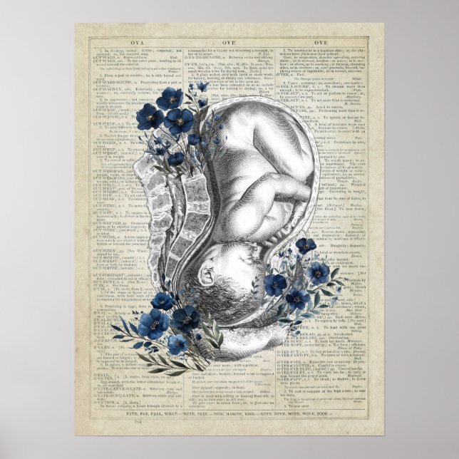 OBGYN Gift Anatomy of Baby in Womb w/ Blue Florals Poster (Front)