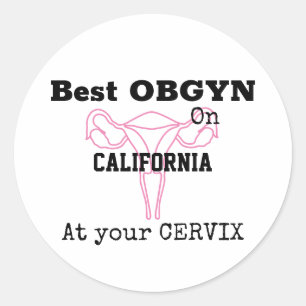 OBGYN Gynaecologist Obstetrician Funny Humour Classic Round Sticker