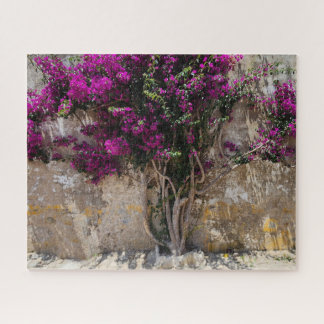 Obidos Colours-Portugal Jigsaw Puzzle