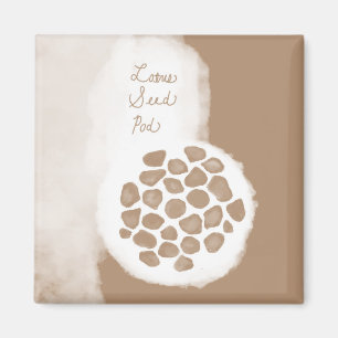 objet_11_lotus seed pod magnet