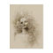 Oblivion Macabre Fantasy Art Postcard