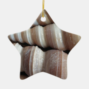Oblong Summer Seashells, Summer Season Ceramic Tree Decoration