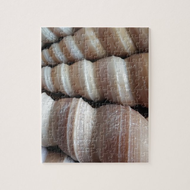Oblong  Summer Seashells, Summer Season Jigsaw Puzzle (Vertical)