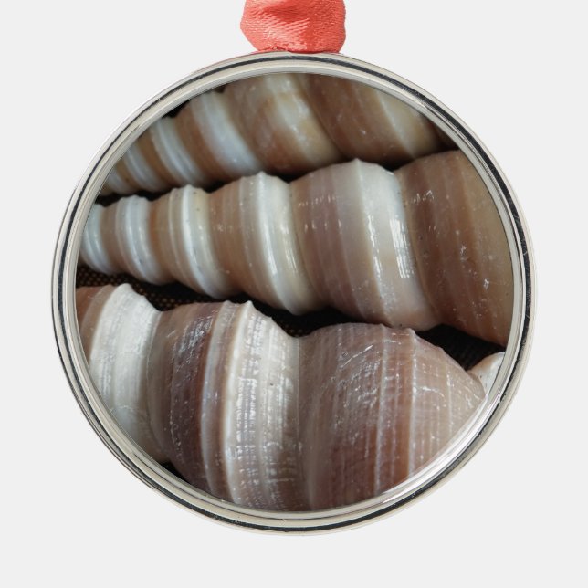 Oblong  Summer Seashells, Summer Season Metal Ornament (Front)