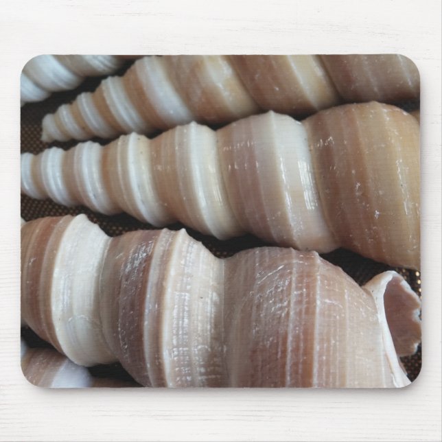Oblong  Summer Seashells, Summer Season Mouse Pad (Front)