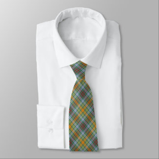 O'Brien Tartan Colorful Plaid Tie