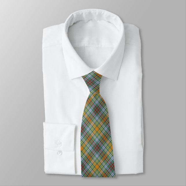 O'Brien Tartan Colorful Plaid Tie (Tied)