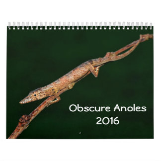 Obscure Anoles 2016 - An Anole Annals Production Calendar