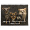 Obsessive Chihuahua Disorder 2015 Calendar