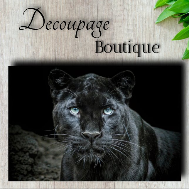 Obsidian Eyes Decoupage Tissue Paper (Obsidian Eyes Decoupage Tissue Paper)