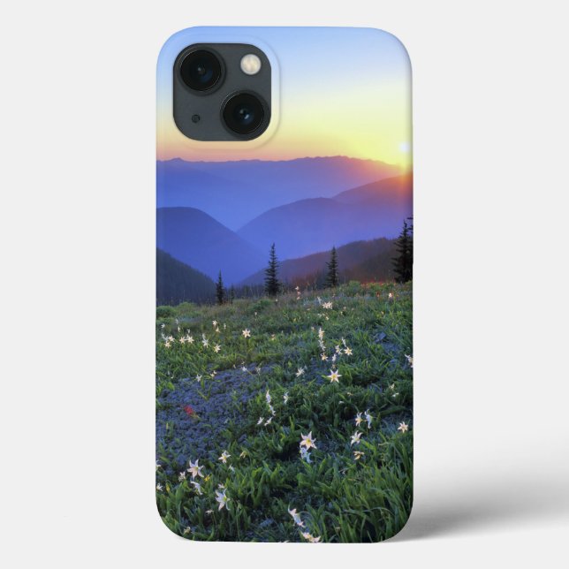 Obstruciton Point Sunset, Olympic NP, WA, USA Case-Mate iPhone Case (Back)