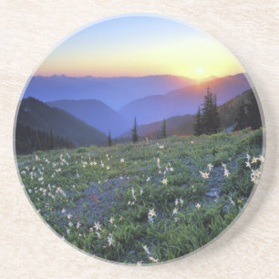 Obstruciton Point Sunset, Olympic NP, WA, USA Coaster