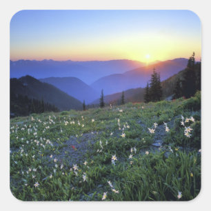 Obstruciton Point Sunset, Olympic NP, WA, USA Square Sticker