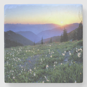 Obstruciton Point Sunset, Olympic NP, WA, USA Stone Coaster