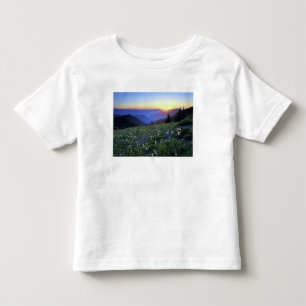 Obstruciton Point Sunset, Olympic NP, WA, USA Toddler T-Shirt