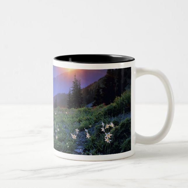 Obstruciton Point Sunset, Olympic NP, WA, USA Two-Tone Coffee Mug (Right)