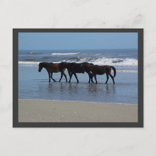 OBX POSTCARD