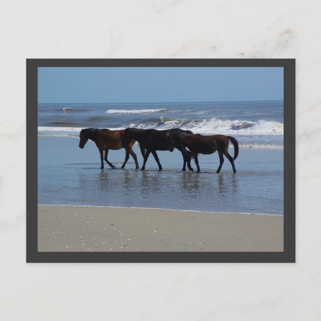 OBX POSTCARD (Front)