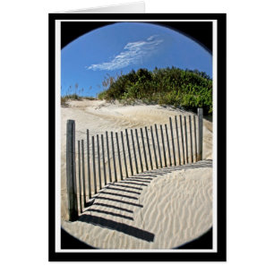 OBX Sand fence