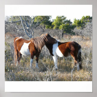 OC Assateague 11-28-2161 Poster
