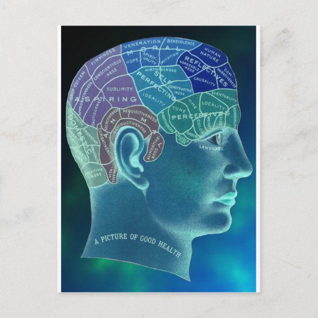Occult Collection - Phrenology Postcard (Front)