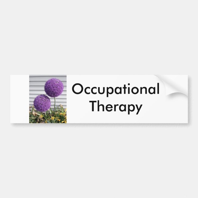 Occupational Therapy Bumper Sticker (Front)