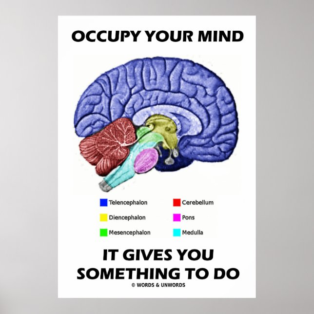 Occupy Your Mind It Gives You Something To Do Poster (Front)