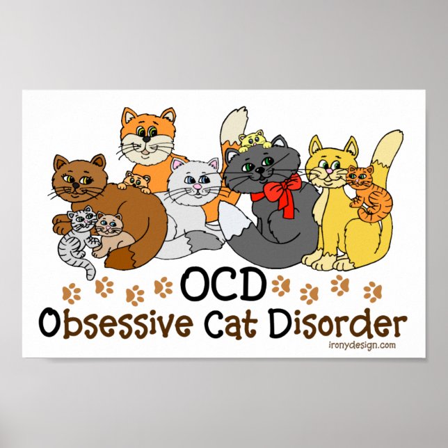 OCD Obsessive Cat Disorder Poster (Front)