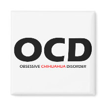 OCD - Obsessive Chihuahua Disorder
