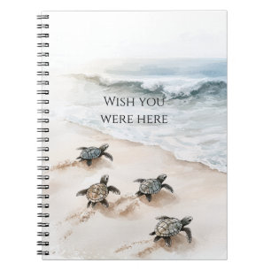 Ocean Beach Coast Sea Turtles Notebook