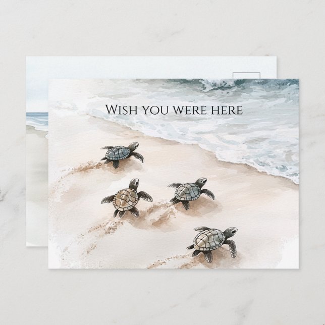 Ocean Beach Coast Sea Turtles Postcard (Front/Back)