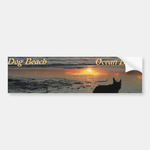 Ocean Beach, dog beach bumper sticker