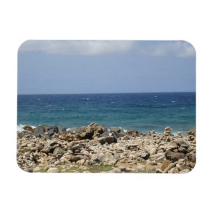 Ocean Beauty Magnet