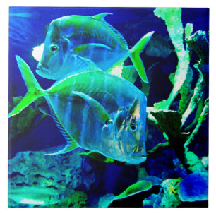 Ocean Blue Ceramic Tile