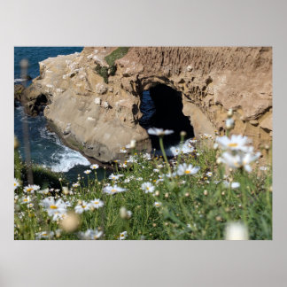 ocean cave  poster
