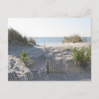 Ocean City Dunes Postcard