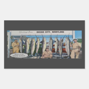 Ocean City, Maryland Home Of The White Marlin, Vin Rectangular Sticker