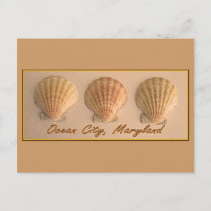 Ocean City, Maryland Postcard