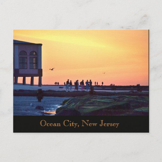 Ocean City, New Jersey Music Pier Postcard (Front)