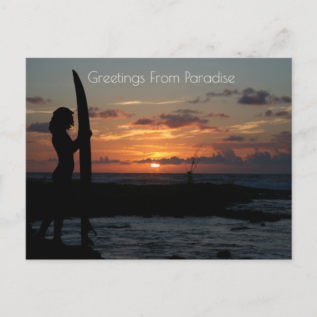 Ocean Cliff Sunset  Postcard (Front)