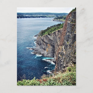 Ocean Cliffs - Newfoundland, Canada Postcard