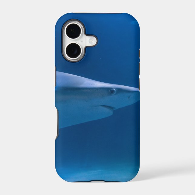 Ocean Creatures (Back)