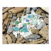 Ocean Driftwood Sea Glass Sea Shells Fossils art
