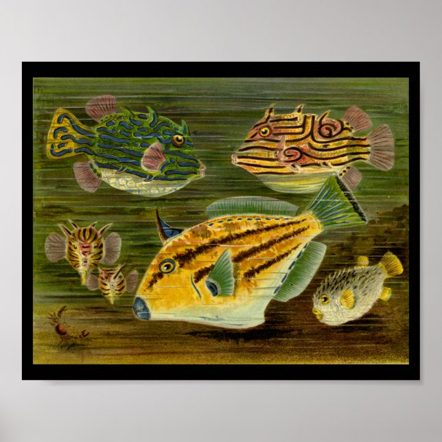 Ocean Fish Yellow Green Blue Art Print (Front)