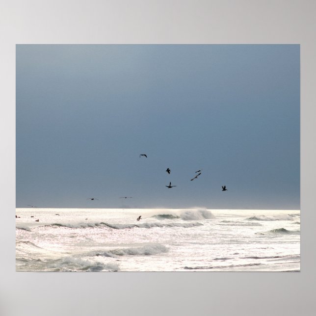 Ocean Horizon with Brown Pelicans Colour 16x20 Poster (Front)