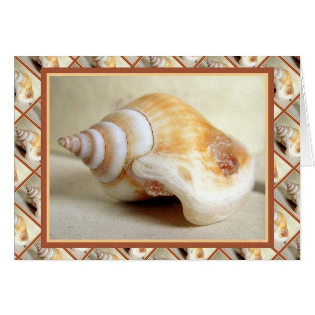 Ocean Jewellery (Front Horizontal)