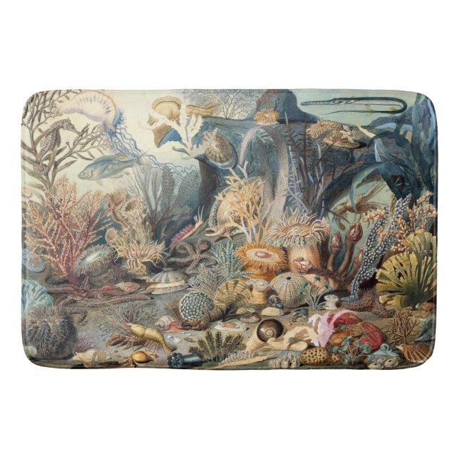 Ocean Life Bath Mat (Front)