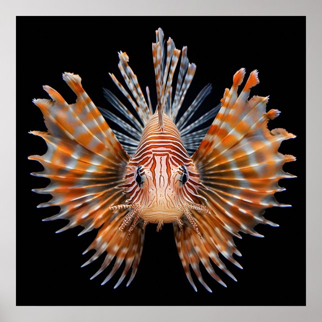 Ocean Life Poster (Front)