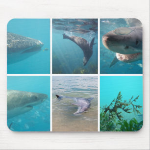 Ocean Life Underwater Animals Wildlife Australia Mouse Pad